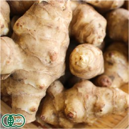 無農薬・自然農法・有機農産物などの産直通販 ふるさと21 / あおぞら