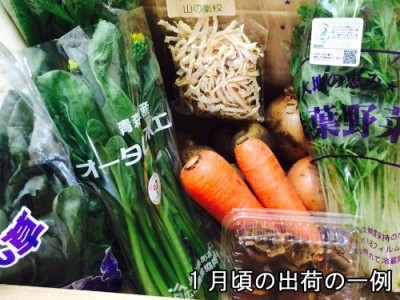 アグリパックM 自然農法 (青森 アグリメイト南郷) 野菜セット 産地直送