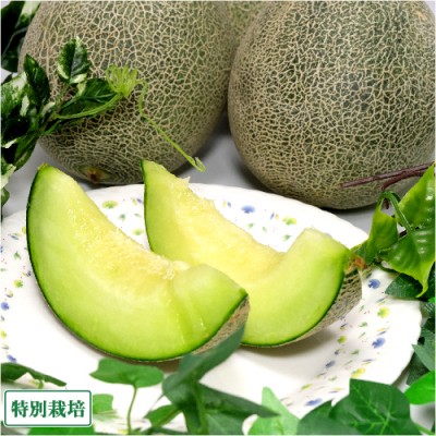 貴味メロン 約4kg 特別栽培 (長崎県 長有研) 産地直送
