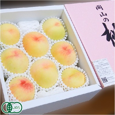 【予約・クール便・家庭用】白桃(加納岩) 2kg 有機JAS (岡山県 エコファームmitani) 産地直送