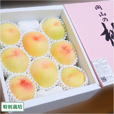 【予約・クール便・家庭用】白桃(加納岩) 4kg 特別栽培 (岡山県 エコファームmitani) 産地直送