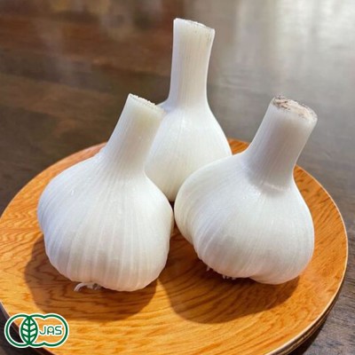 【予約・クール便】有機生にんにく 2kg 有機JAS　(青森県 Ryosuke Oyasai) 産地直送
