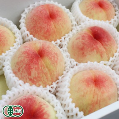 【予約・クール便・家庭用】桃 白鳳 2kg×2箱 有機JAS (岡山県 エコファームmitani) 産地直送