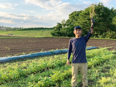 【予約・クール便】有機生にんにく 1kg 有機JAS　(青森県 Ryosuke Oyasai) 産地直送