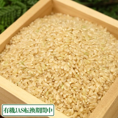 【令和4年度産売り尽くしセール!】 ひとめぼれ 玄米 10kg 有機JAS転換期 (岩手県 いわて大東有機) 産地直送
