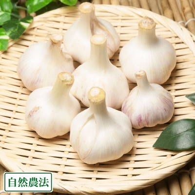 【サイズ混合】乾燥にんにく(玉) 3kg 自然農法 (福岡県 たなかふぁーむ) 産地直送
