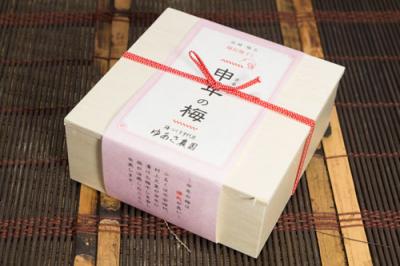 二十年熟成と申年の梅干しセット 各2箱(木製化粧箱入り) 100g×4箱 (群馬県 ゆあさ農園)有機栽培梅  産地直送