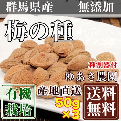 梅の種(種割器付) 50g×3袋 (群馬県 ゆあさ農園)有機栽培 産地直送 送料無料