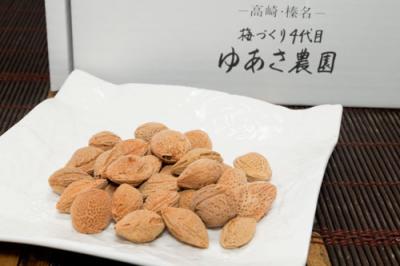 梅の種(種割器付) 50g×3袋 (群馬県 ゆあさ農園)有機栽培 産地直送 送料無料