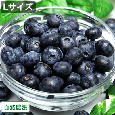 【予約・クール便】 生ブルーベリー(Lサイズ) 生食用1kg 自然農法 (青森県 アグリメイト南郷) 産地直送