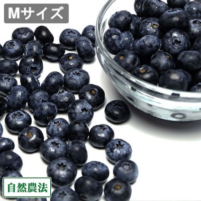【予約・クール便】 生ブルーベリー(Mサイズ) 生食用2kg 自然農法 (青森県 アグリメイト南郷) 産地直送