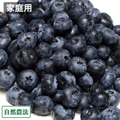 【予約・クール便・家庭用】生ブルーベリー 2kg 自然農法 (青森県 アグリメイト南郷) 産地直送