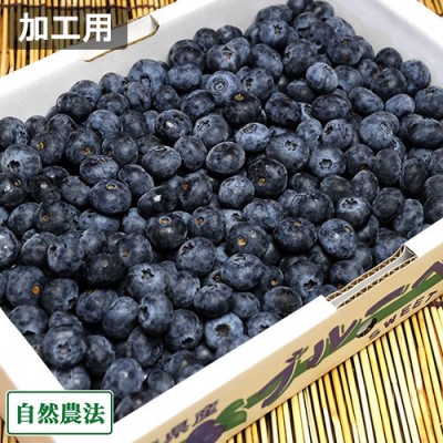 【予約・クール便・加工用】生ブルーベリー 2kg 自然農法 (青森県 アグリメイト南郷) 産地直送【クール料金込み】