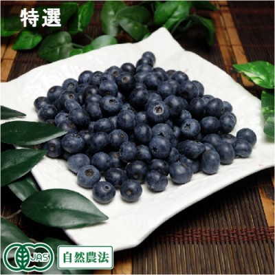【予約・クール便】有機 生ブルーベリー 特選 1kg 有機JAS 自然農法 (青森県 根岸FARM) 産地直送