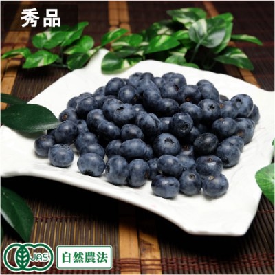 【予約・クール便】有機 生ブルーベリー 秀品 1kg 有機JAS 自然農法 (青森県 根岸FARM) 産地直送