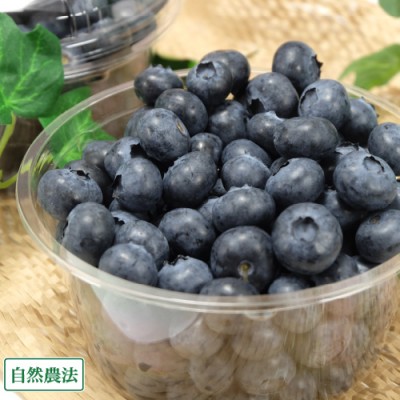 【予約・クール便】大粒ブルーベリー 生食用 1kg 自然農法 (群馬県 月夜野ブルーベリー) 産地直送