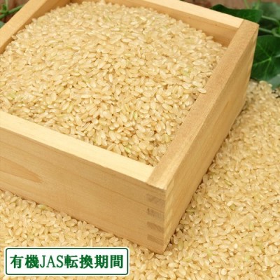 【令和4年度産売り尽くしセール!】 銀河のしずく 玄米 20kg 有機JAS転換期 (岩手県 いわて大東有機) 産地直送