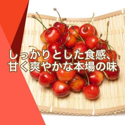 【ポイント2倍・予約】さくらんぼ 紅秀峰 500g 特別栽培 (山形県 森谷果樹園) 産地直送