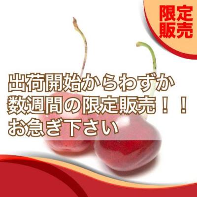 【ポイント2倍・予約】さくらんぼ 紅秀峰 1kg×2箱 特別栽培 (山形県 森谷果樹園) 産地直送