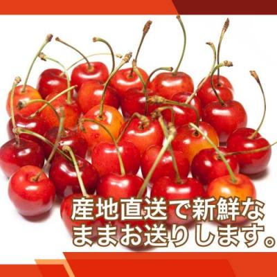 【ポイント2倍・予約】さくらんぼ 紅秀峰 1kg×2箱 特別栽培 (山形県 森谷果樹園) 産地直送