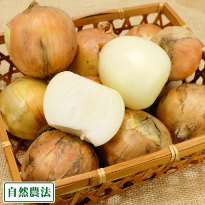 【セール・サイズ混合】 無肥料栽培 玉ねぎ 3kg 自然農法 (兵庫県淡路島 花岡農恵園) 産地直送