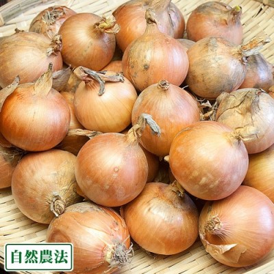 【セール】玉ねぎ3kg (2S～3Sサイズ) 自然農法 (兵庫県淡路島 花岡農恵園) 産地直送