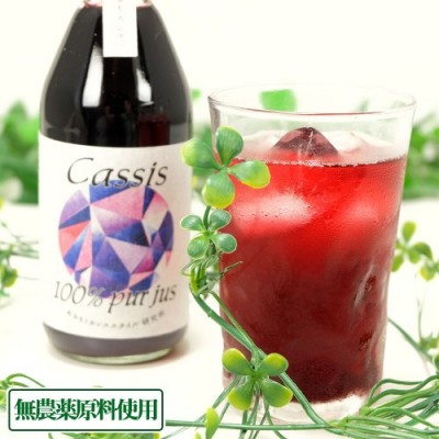 カシス果汁100%ストレートジュース 250ml×2本 無農薬原料・無添加 (青森県 あおもりカシススタイル研究所) 産地直送