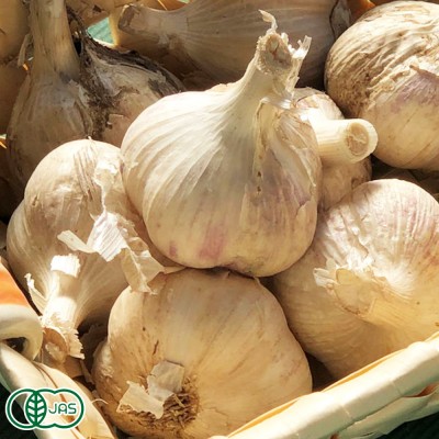【予約商品】有機 乾燥にんにく 2kg 有機JAS　(青森県 Ryosuke Oyasai) 産地直送