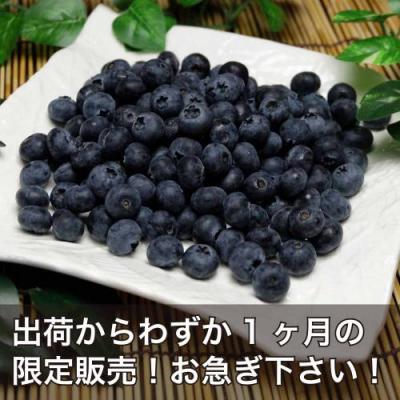 【予約・クール便・加工用】生ブルーベリー 1kg 自然農法 (青森県 アグリメイト南郷) 産地直送【クール料金込み】