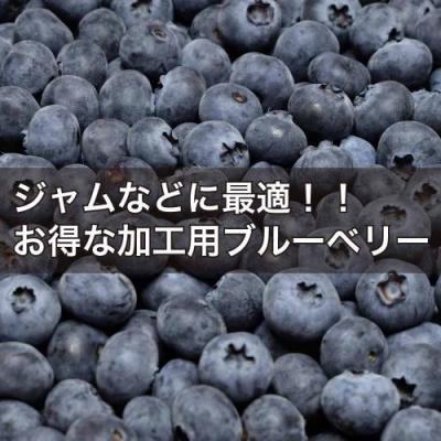 【予約・クール便・加工用】生ブルーベリー 2kg 自然農法 (青森県 アグリメイト南郷) 産地直送【クール料金込み】