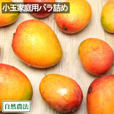 【クール便】アーウィン小玉家庭用(ミニマンゴー) バラ詰め 約1.8kg 自然農法 (沖縄県 沖縄マンゴー生産研究会) 産地直送