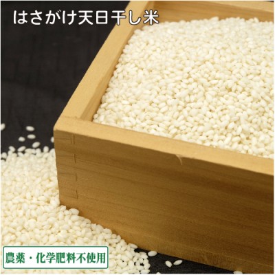 【令和5年度産】田口さんちのはさがけ天日干しもち米(アネコもち) 白米 2kg 自然農法 (青森県 だんごっこファーム) 産地直送