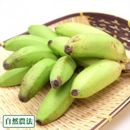 石垣島産 自然栽培 バナナ3種食べ比べセット 3kg 石垣島産 自然栽培 バナナ3種食べ比べセット 3kg - メルカリ
