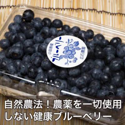 【予約・ポイント2倍・クール便・加工用】 有機 ブルーベリー 2kg 有機JAS (神奈川県小田原 広石農園) 産地直送