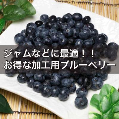 【予約・ポイント2倍・クール便・加工用】 有機 ブルーベリー 2kg 有機JAS (神奈川県小田原 広石農園) 産地直送