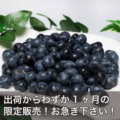 【予約・ポイント2倍・クール便・加工用】 有機 ブルーベリー 2kg 有機JAS (神奈川県小田原 広石農園) 産地直送