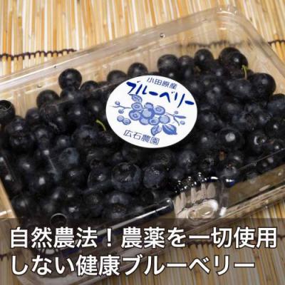 【予約・ポイント2倍・クール便】 有機 ブルーベリー 生食用 2kg 有機JAS (神奈川県小田原 広石農園) 産地直送