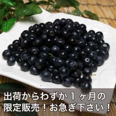 【予約・ポイント2倍・クール便】 有機 ブルーベリー 生食用 2kg 有機JAS (神奈川県小田原 広石農園) 産地直送