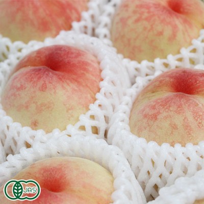 【予約・家庭用・クール便】清水白桃 2kg×2箱 有機JAS (岡山県 エコファームmitani) 産地直送【クール料金込み】