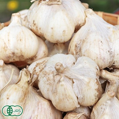 【ポイント2倍】有機乾燥完熟にんにく 1kg 有機JAS (北海道 滝本農場) 産地直送 乾燥にんにく