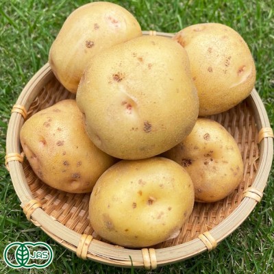 【予約・サイズ混合】有機きたあかり 5kg 農薬・化学肥料不使用　(青森県 Ryosuke Oyasai) 産地直送 じゃがいも 北あかり