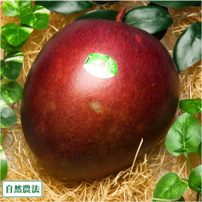 【予約商品】レッドキーツ 秀品 約1～1.2kg 自然農法 (沖縄県 沖縄マンゴー生産研究会) 産地直送