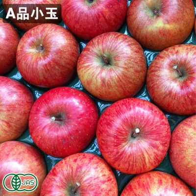 【予約・クール便・A品小玉】有機早生りんご(赤) 2.5kg 有機JAS (青森県 北上農園) 産地直送