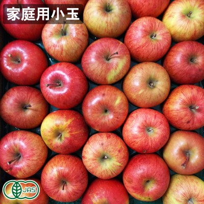 【予約・クール便・小玉家庭用】有機早生りんご(赤) 2.5kg 有機JAS (青森県 北上農園) 産地直送
