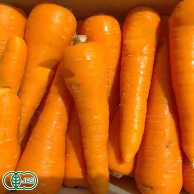 【豊作応援セール・クール便・B品・訳あり】有機にんじん 10kg 有機JAS (青森県 十和田生産組合) 産地直送
