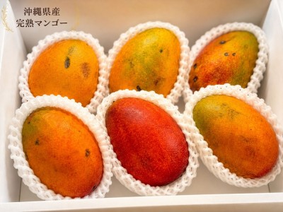 【クール便・B品】アーウィン 2kg 自然農法 (沖縄県 沖縄マンゴー生産研究会) 産地直送