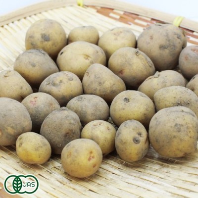 【赤ちゃんポテト3S】有機 北あかり(訳あり) 5kg 有機JAS (青森県 自然食ねっと青森) 無農薬 じゃがいも