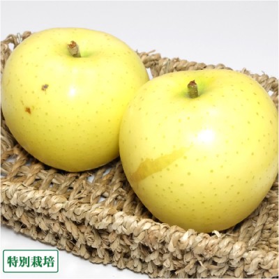 【予約・クール便・訳あり】早生りんご(きおう) 5kg箱 特別栽培 (青森県 田村りんご農園) 黄王 産地直送