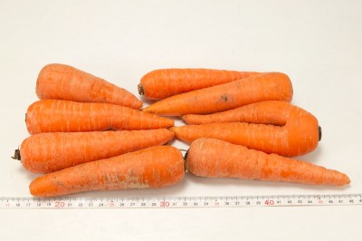 【クール便・B品】有機 にんじん (洗い) 10kg 有機JAS (青森県 南風農園) 産地直送