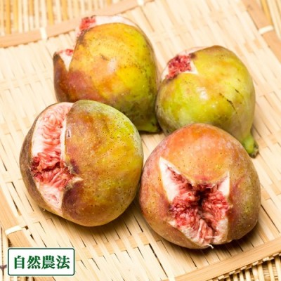【クール便】 イチジク蓬莱柿 秀品・ギフト用 300g×3パック 自然農法 (広島県 万汐農園) 産地直送